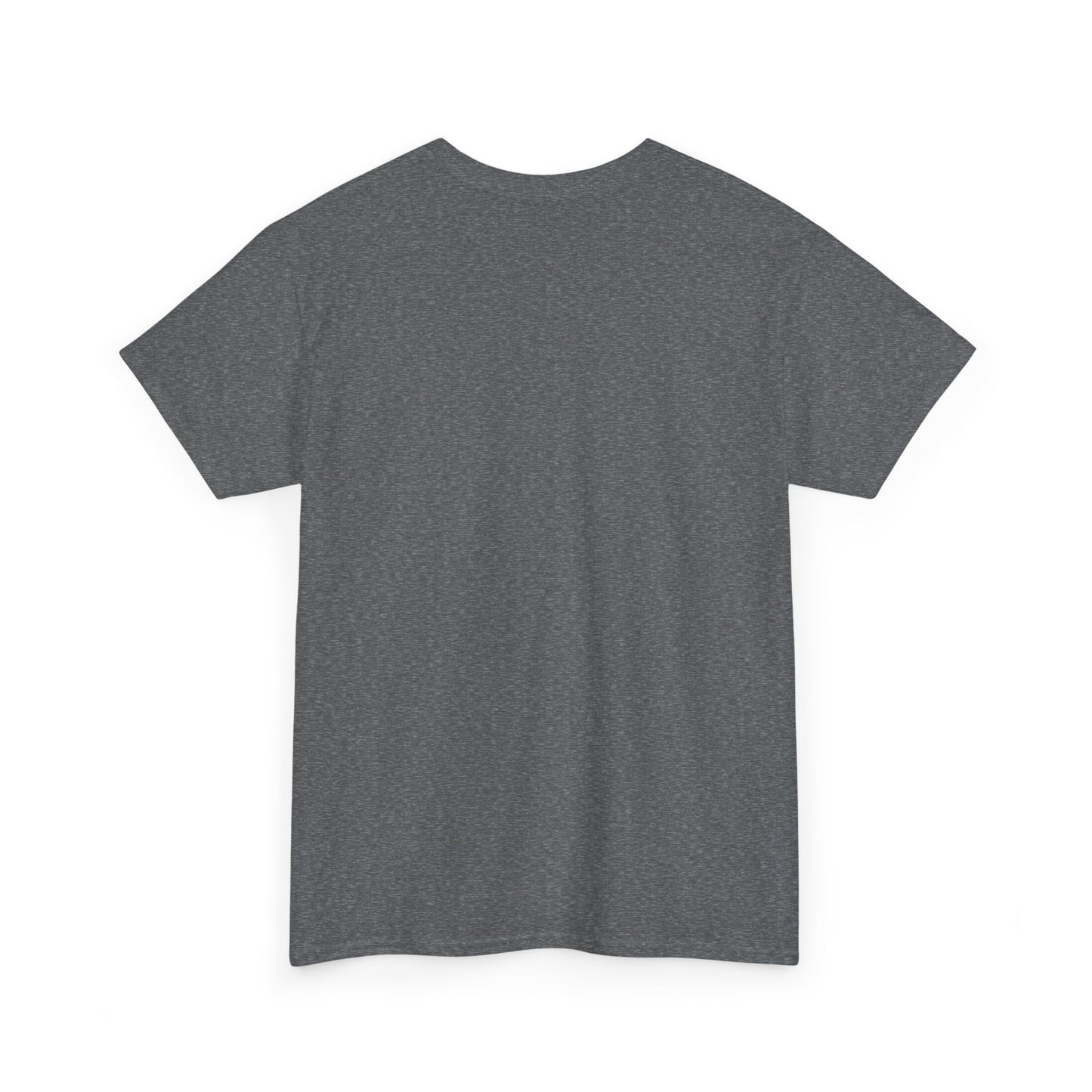 Cat Unisex Tee - Be Good Your Cat is Watching Design