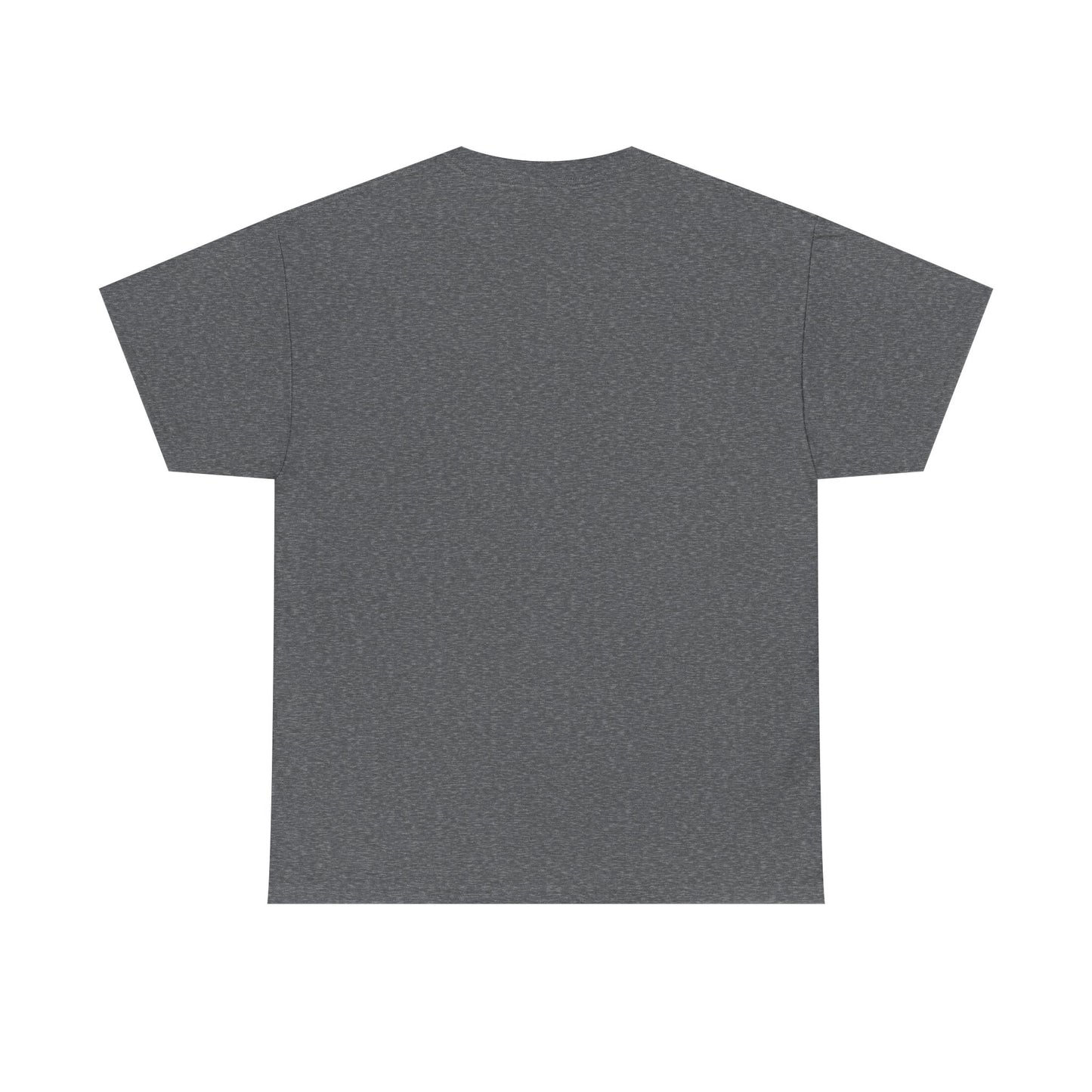 Cat Unisex Tee - Be Good Your Cat is Watching Design