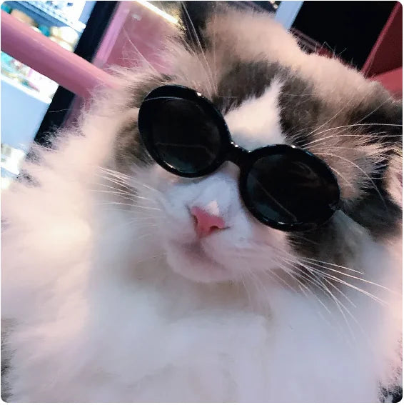 Fashion Pet Products Sunglasses Retro Solid Color Round Convenience Glasses Eyeglass For Pet Photos Props Accessories