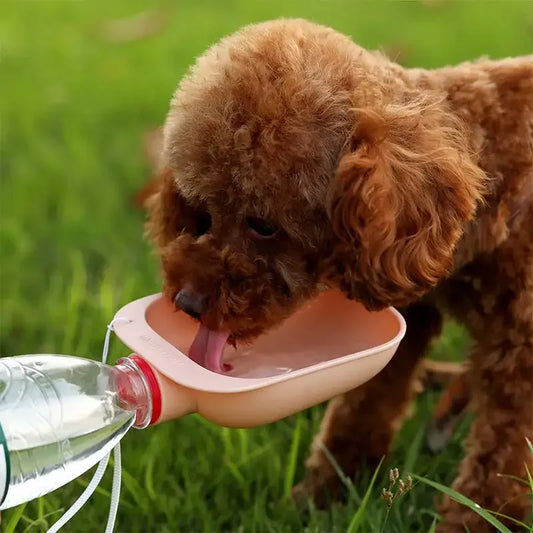 Pet Travel Water Bottle Portable Pet Dog Water Bottle Dog Cat Outdoor Water Dispenser Water Bottle Pet Supplies